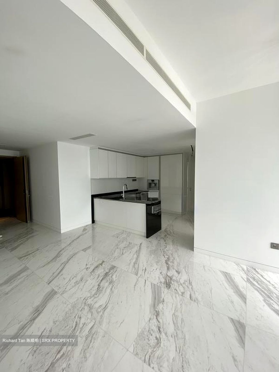 Wallich Street (D2), Condominium #508895121